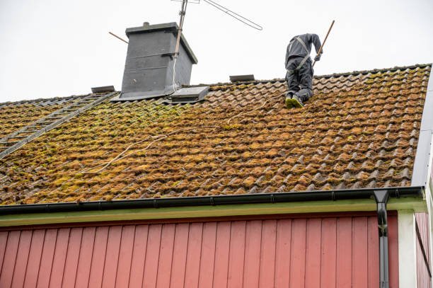 Moss on Roof: Complete Easy Guide to Causes, Damage, and Solutions